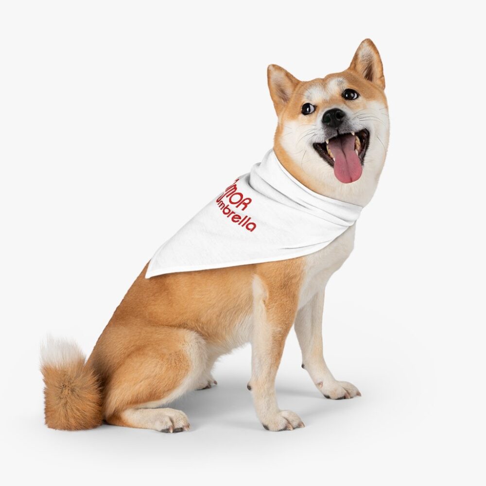 dog collar and bandana A New Day Needs You Gift Box