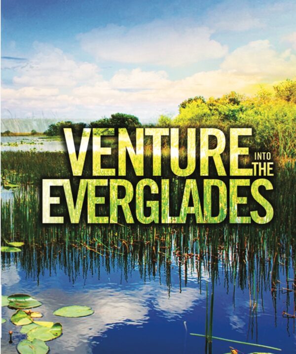 Everglades Coloring Book