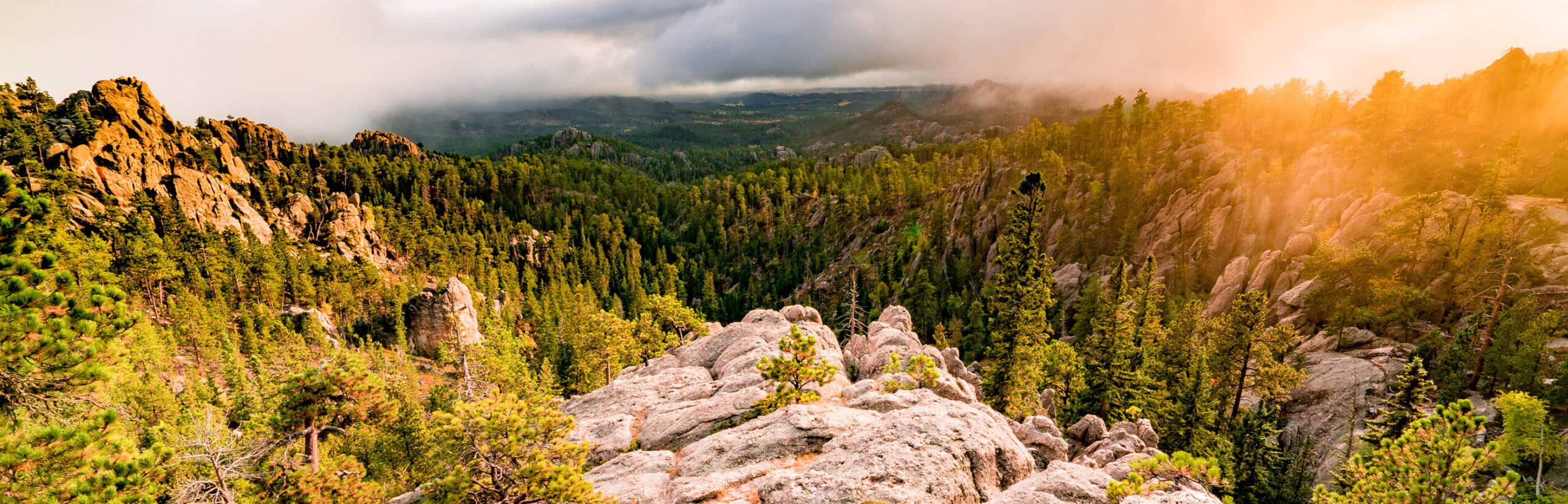 Black Hills National Forest