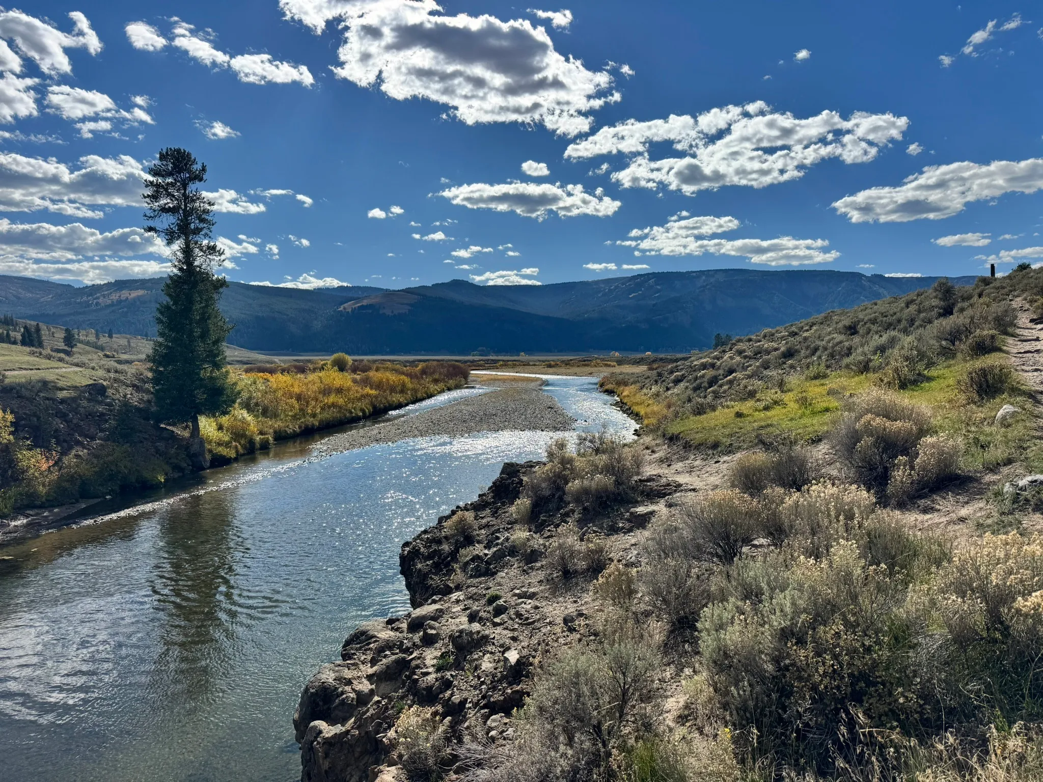 Yellowstone National Park